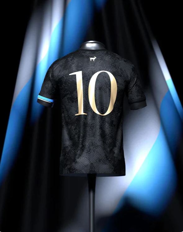 Camisa Argentina La Pulga Messi 10 - 2024/25